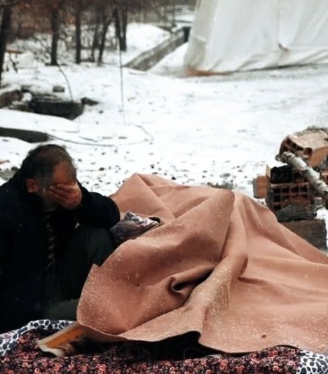 چیتا tweet media