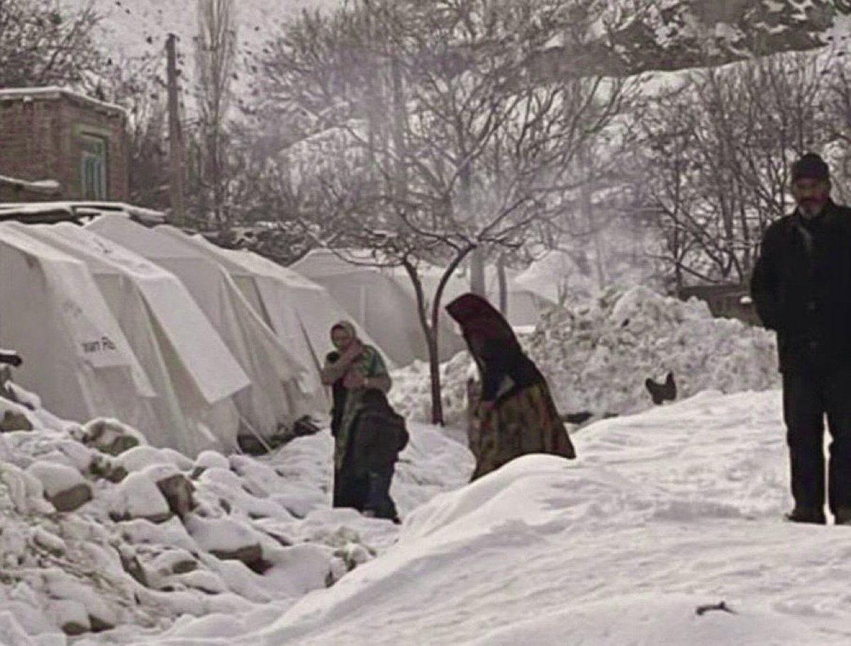 چیتا tweet media