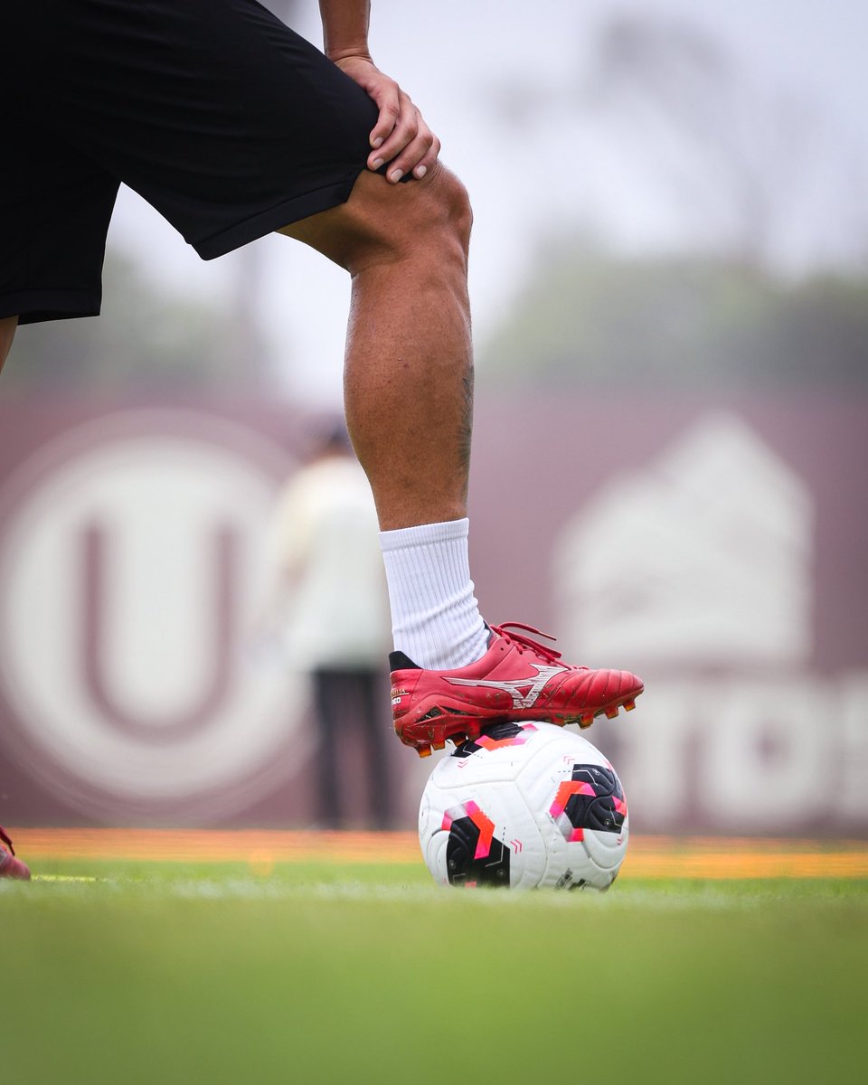 Universitario tweet media