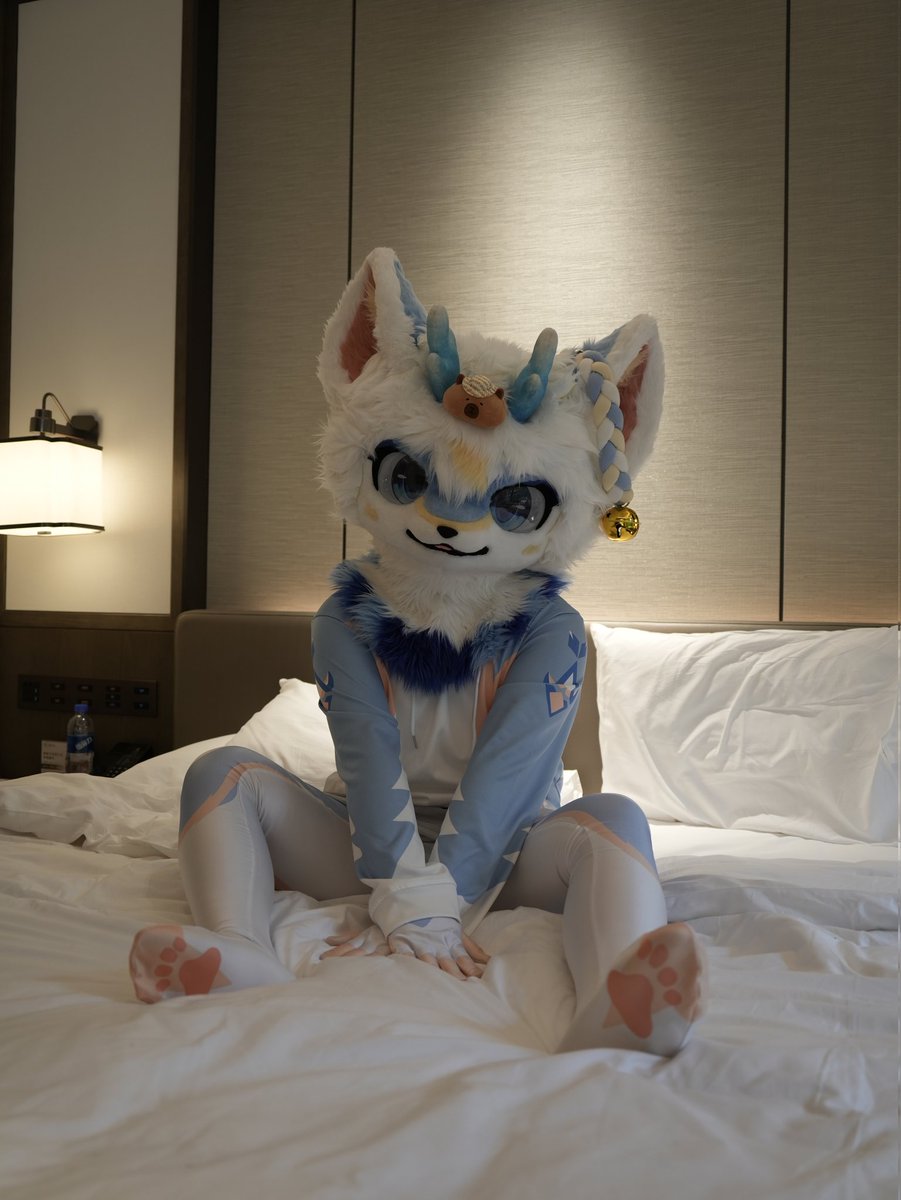 木鱼白糖 tweet media