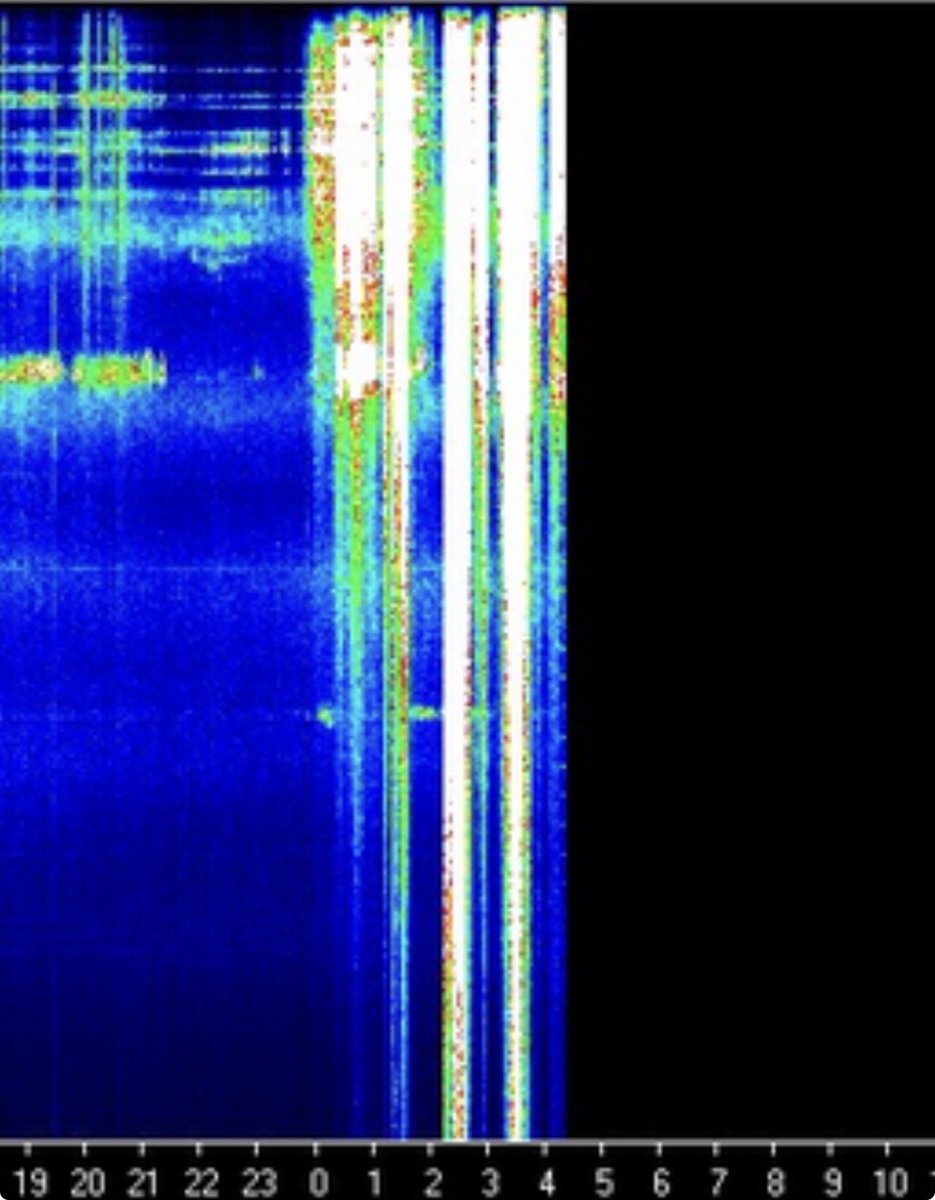 Those wizards are up to something. 🧙🐸