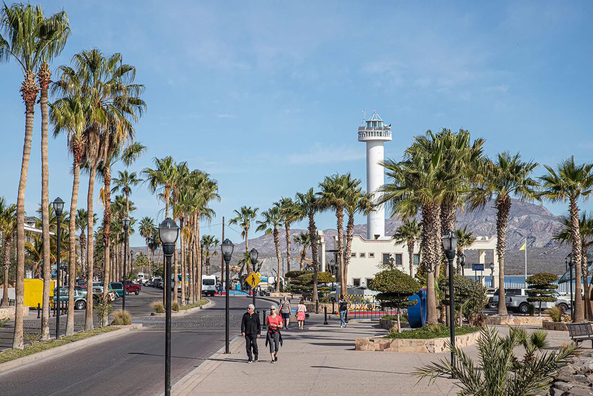 Secretaría de Turismo y Economía de BCS tweet media