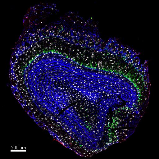 Peiwen Lu tweet media