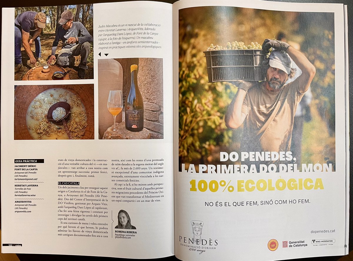 Lluís Tolosa tweet media