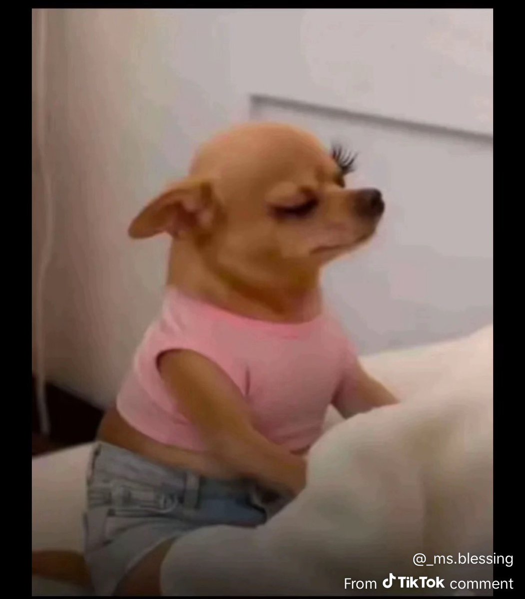 Avuwa🫧 tweet media