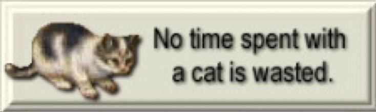 ✩ 🥩 weed chan tweet media