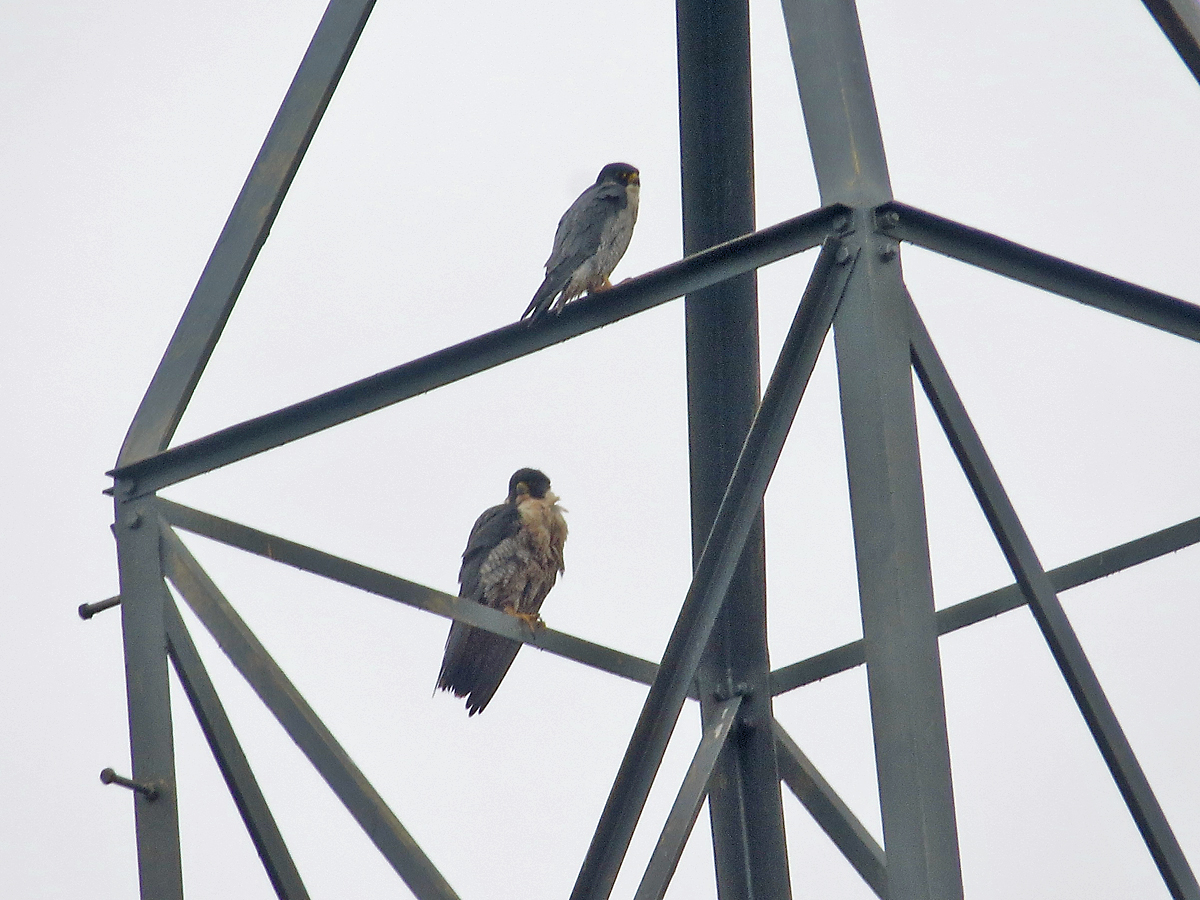 Jason Kernohan tweet media