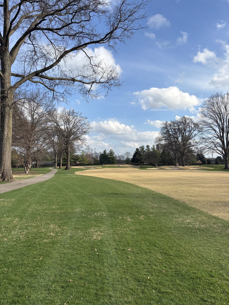 It feels like the blue sky guitar solo outside