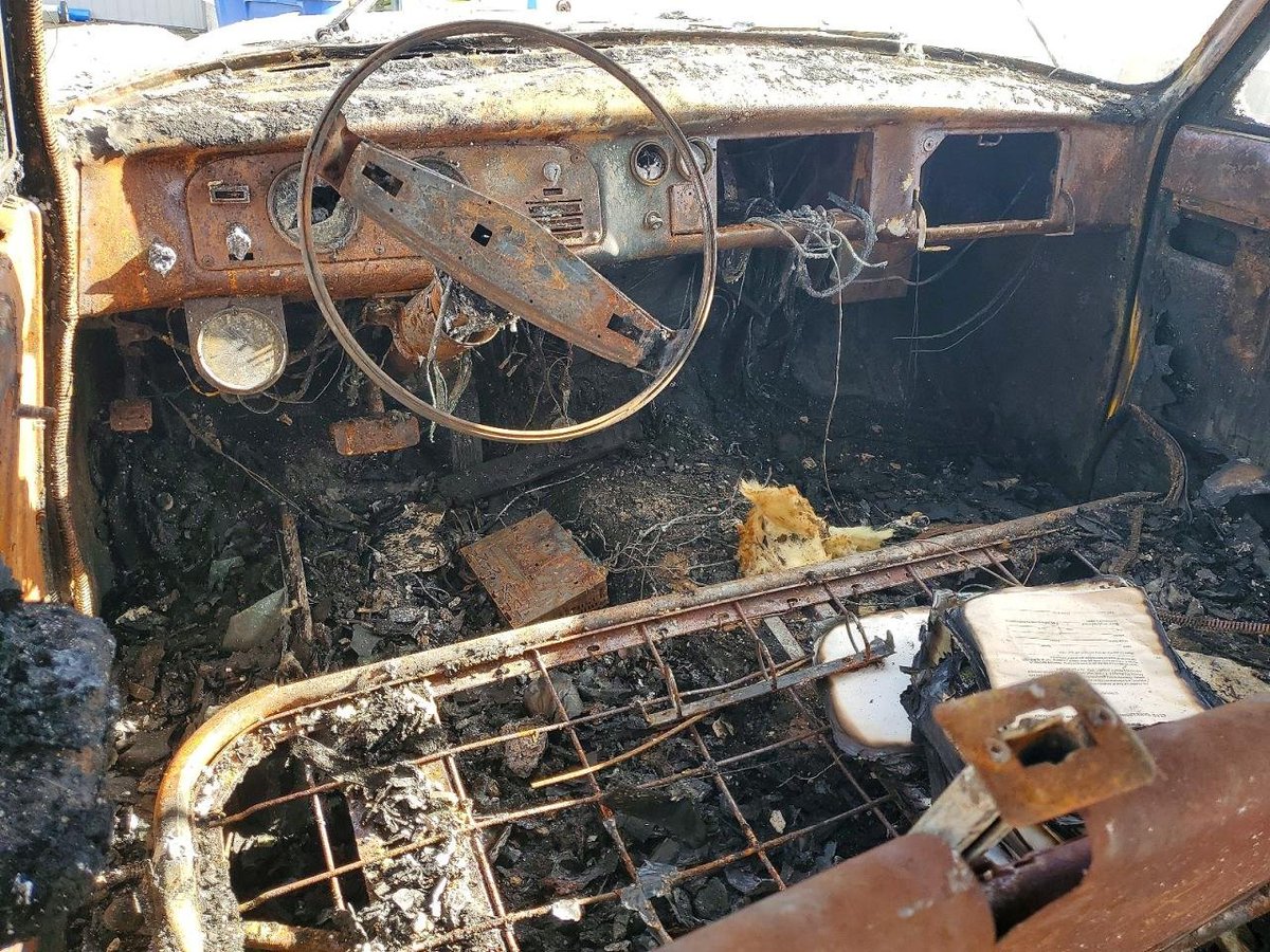 🥉 Pipkin Pippa 🔌🐰 Phase-Connect tweet media