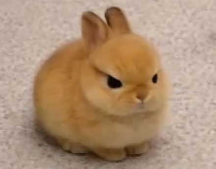 jungkook when the food is so good