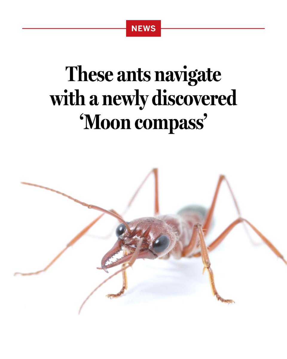 News from Science tweet media