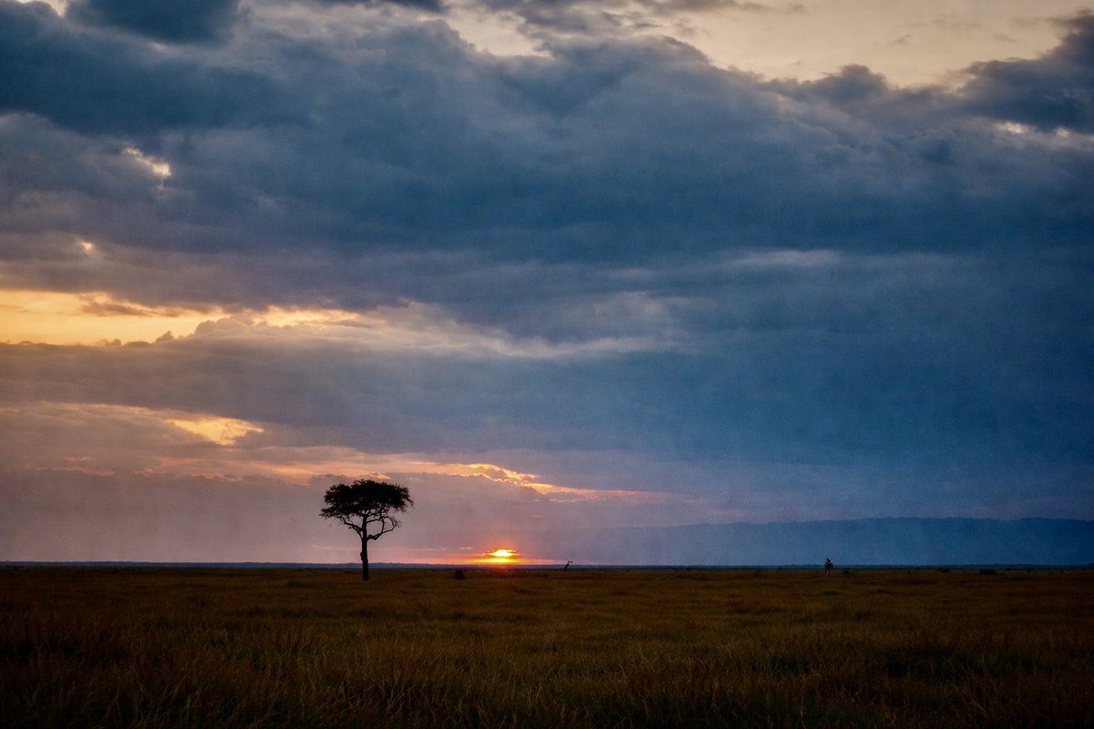 jrambaud's tweet photo. #Memorias de #Africa 1) Monte #Kenya 2) Tormenta en #MasaiMara 3) Amboseli y #Klimanjaro 4) #Guepardos MasaiMara https://t.co/f5zXAD92PB