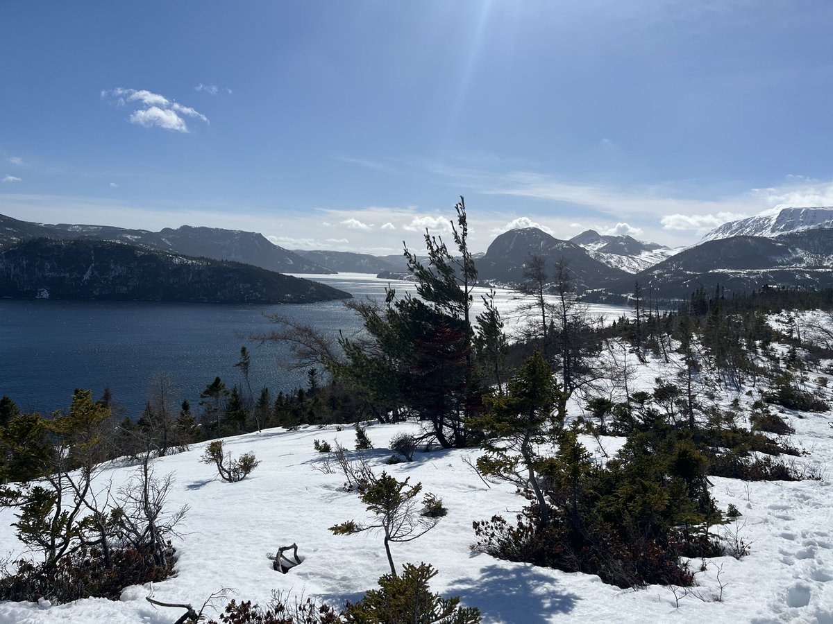 jim saul 🇨🇦🌽🐓 tweet media