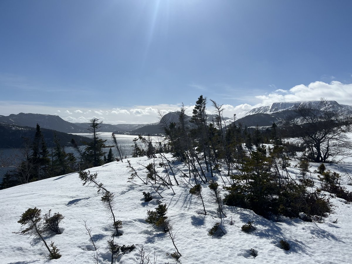 jim saul 🇨🇦🌽🐓 tweet media