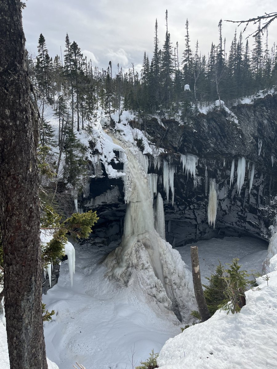 jim saul 🇨🇦🌽🐓 tweet media