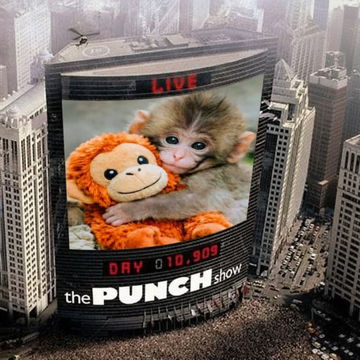 Llorchs  tweet media