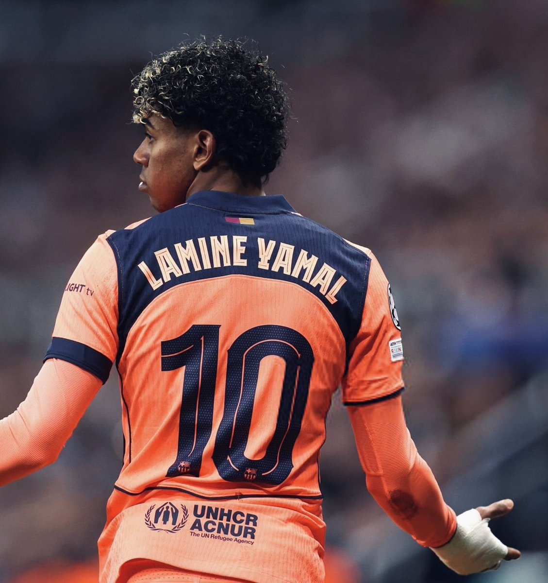 Hormiga Xeneize 🐜 tweet media