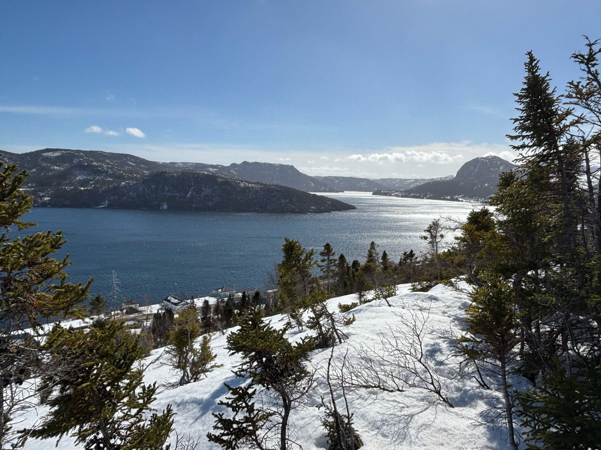 jim saul 🇨🇦🌽🐓 tweet media