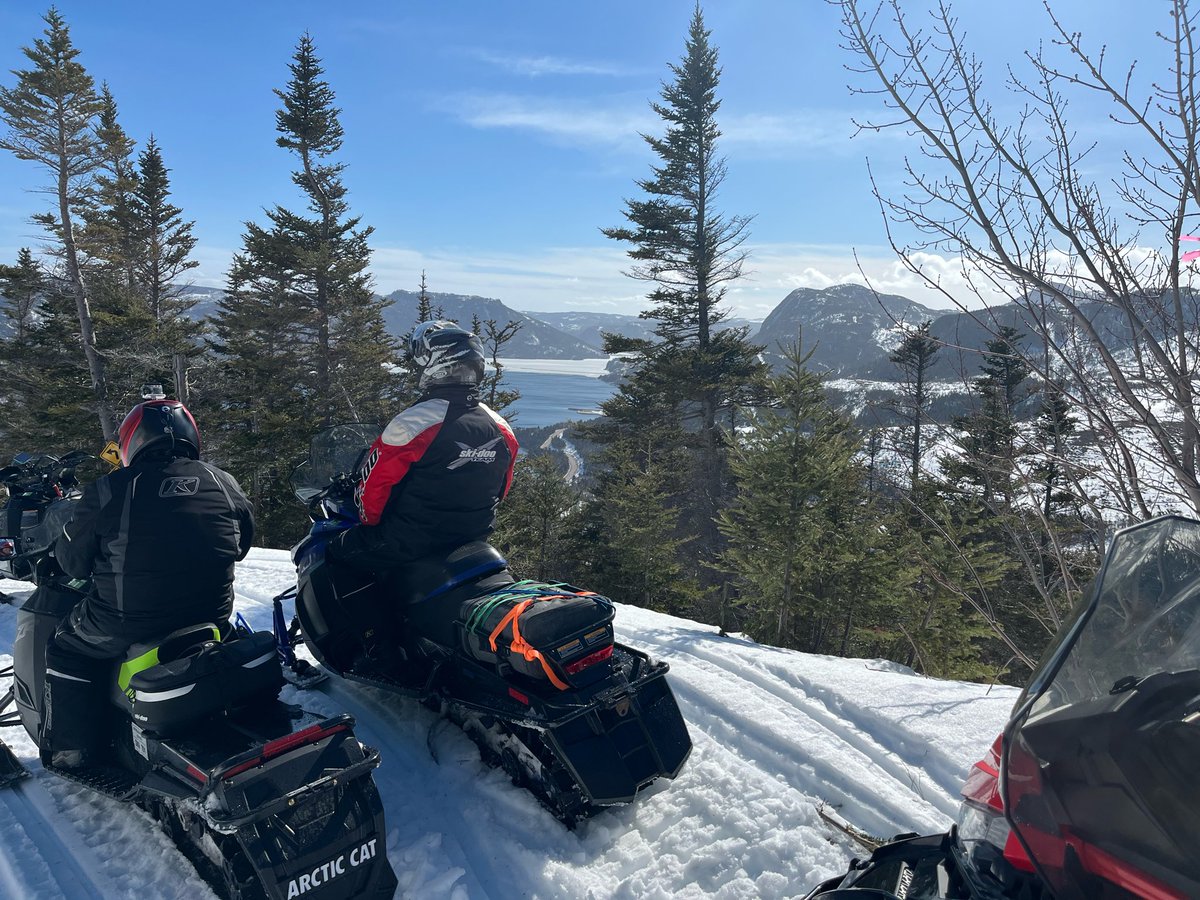 jim saul 🇨🇦🌽🐓 tweet media