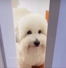 Rangles 🔞 CEO of blue they/them twinks tweet media