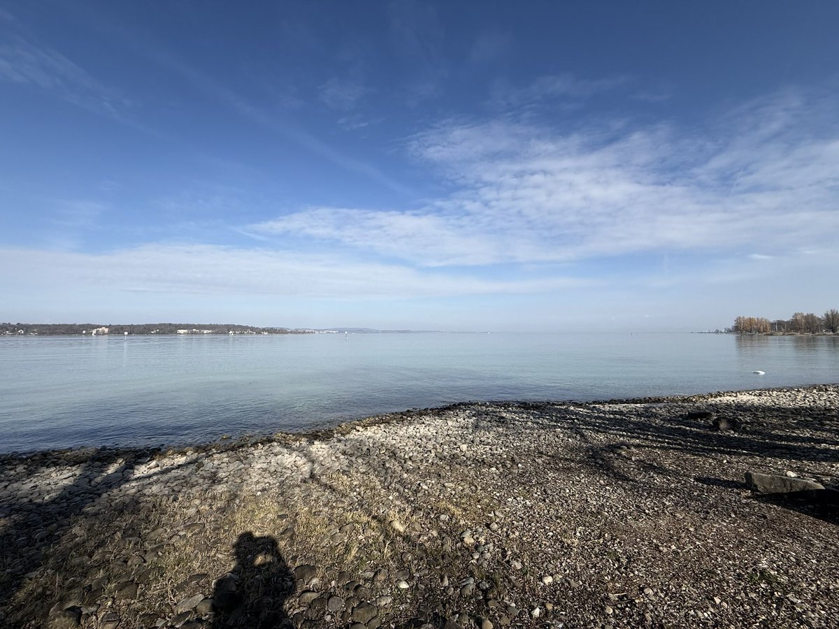 Matthias tweet media