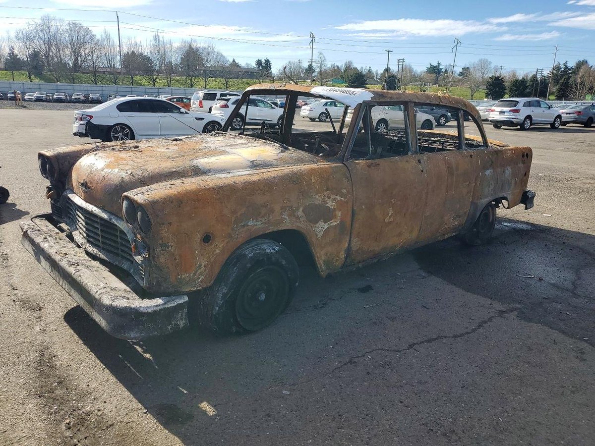 🥉 Pipkin Pippa 🔌🐰 Phase-Connect tweet media