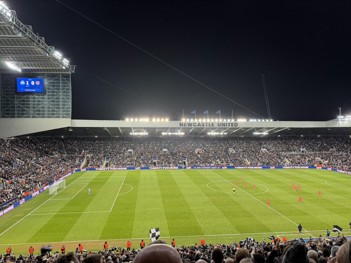 bateson87 tweet media