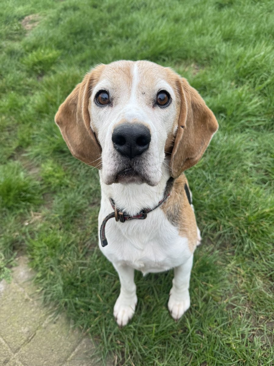 Lauren 🐼 tweet media