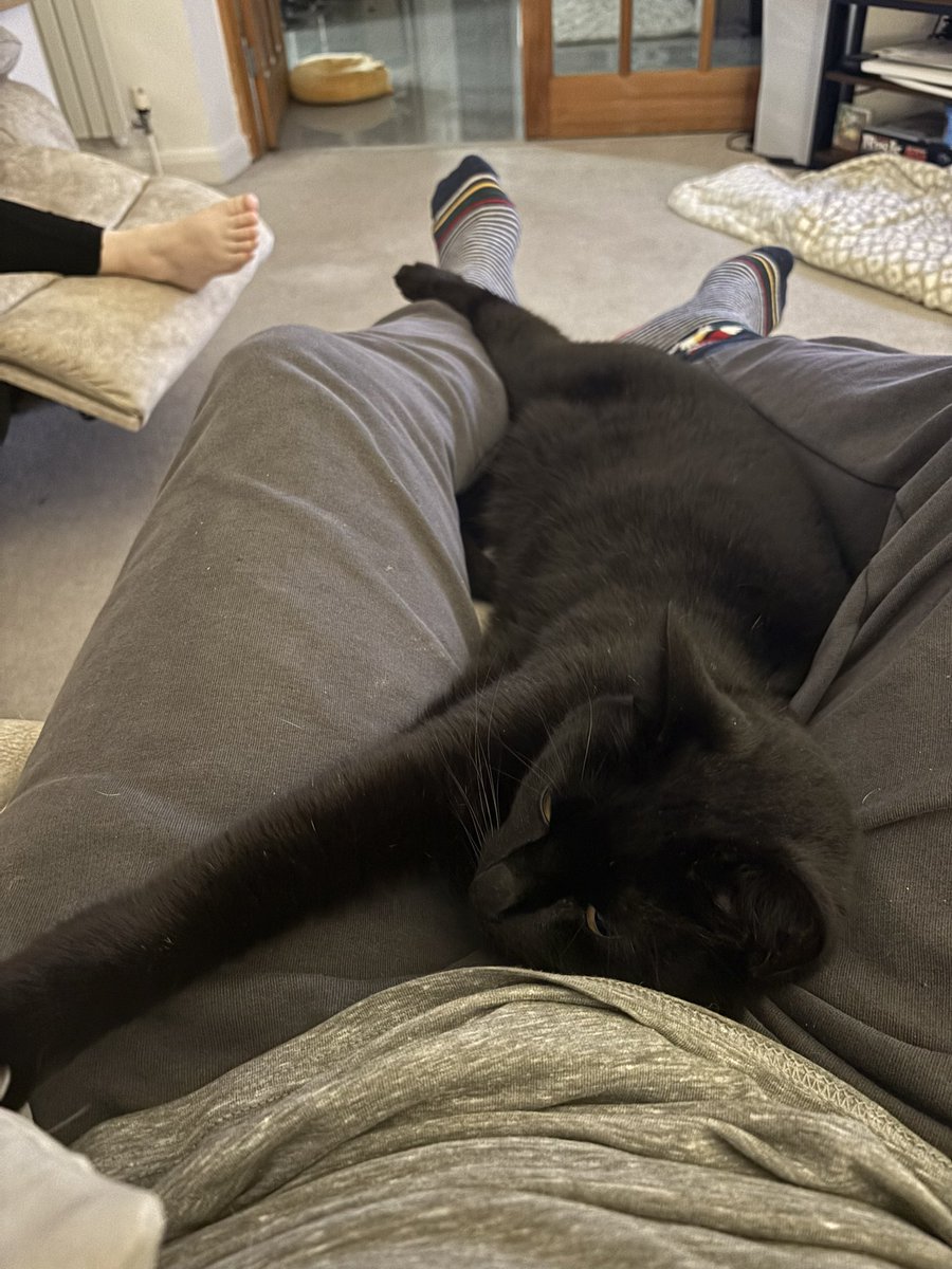 tacticalpascale tweet media