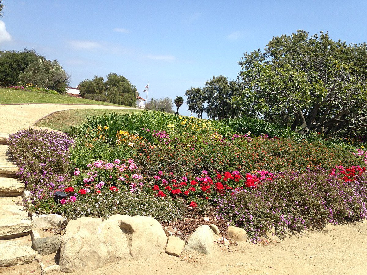 MythoSolaria🏜️ tweet media