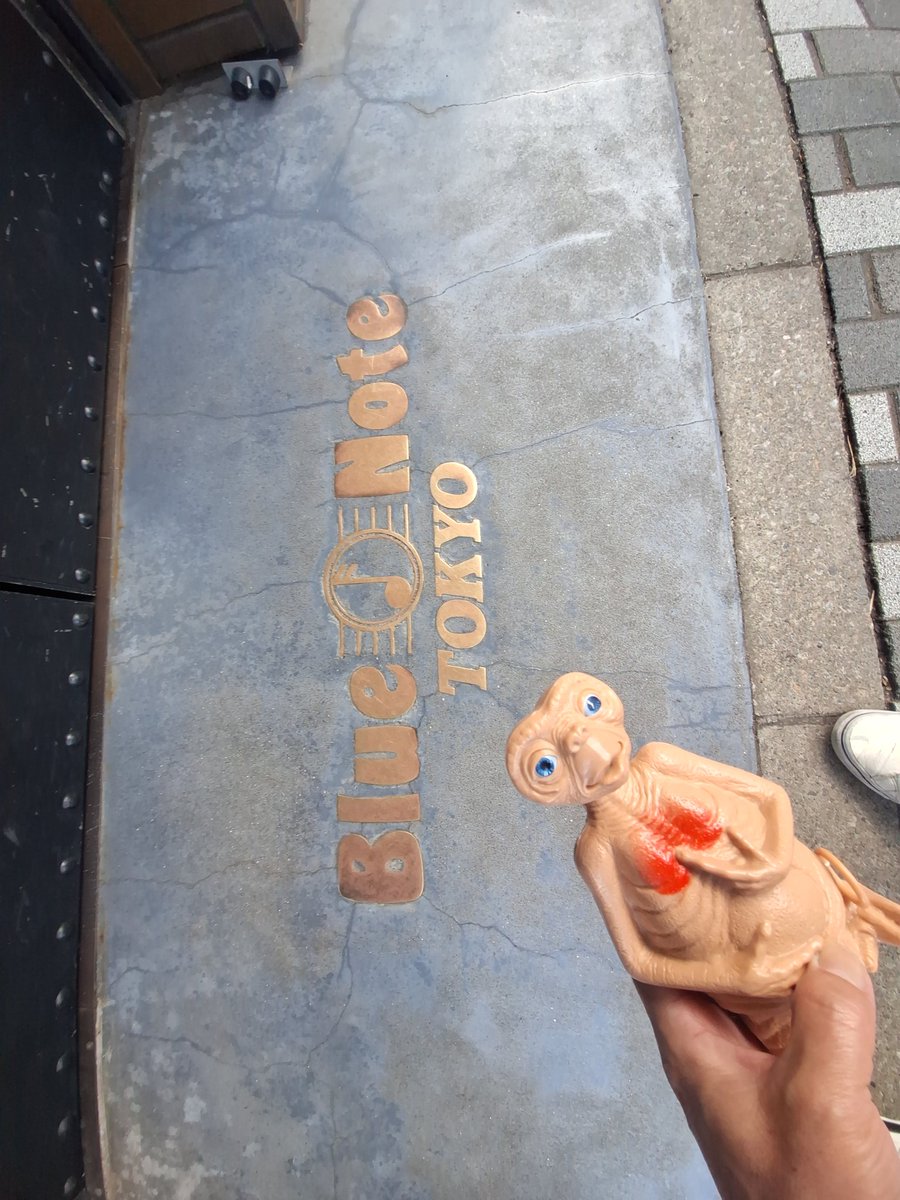 それ行けマサカズ (まぁ) tweet media