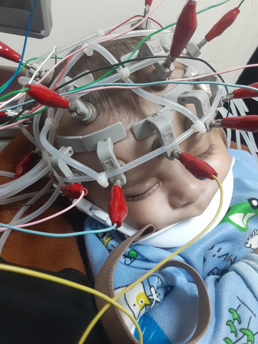 MoustfeAmary22 tweet media