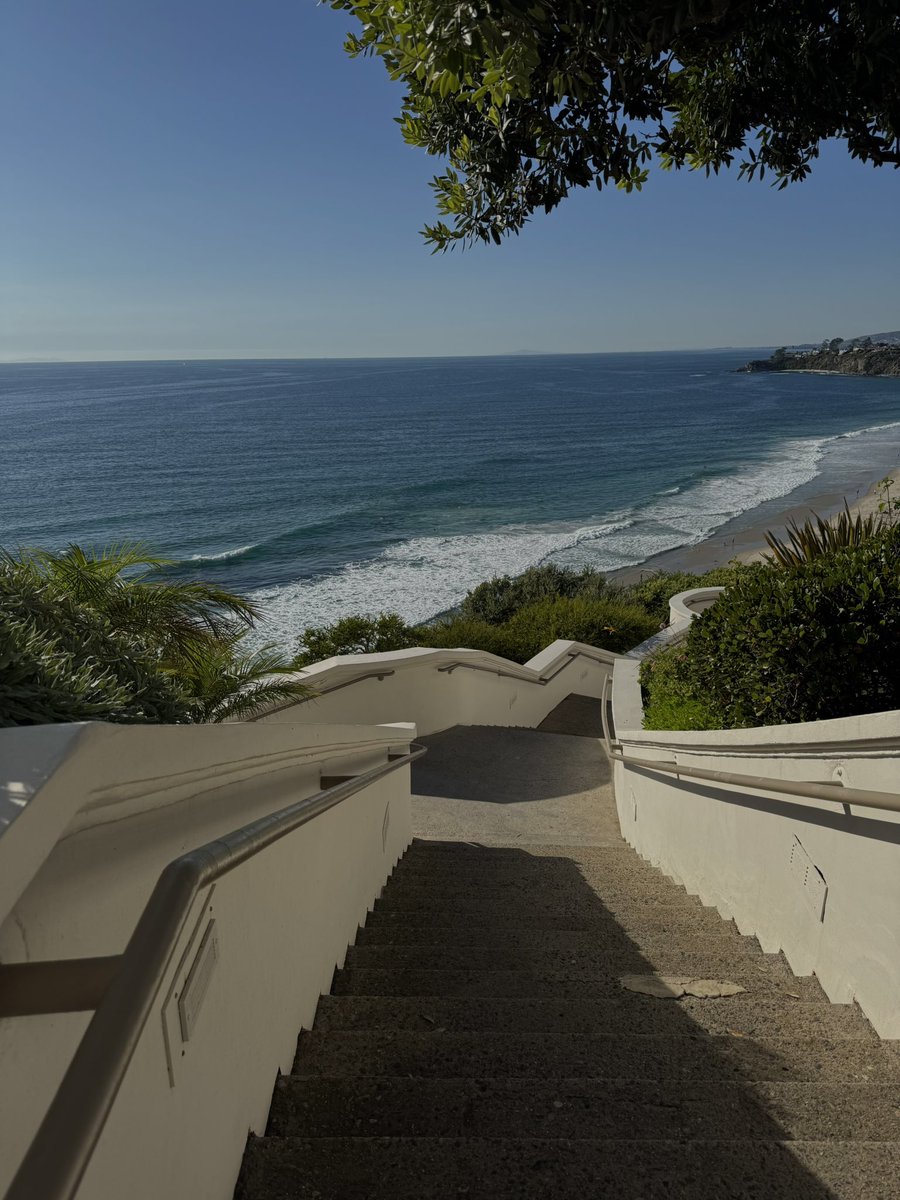 aashley 𝜗𝜚 tweet media