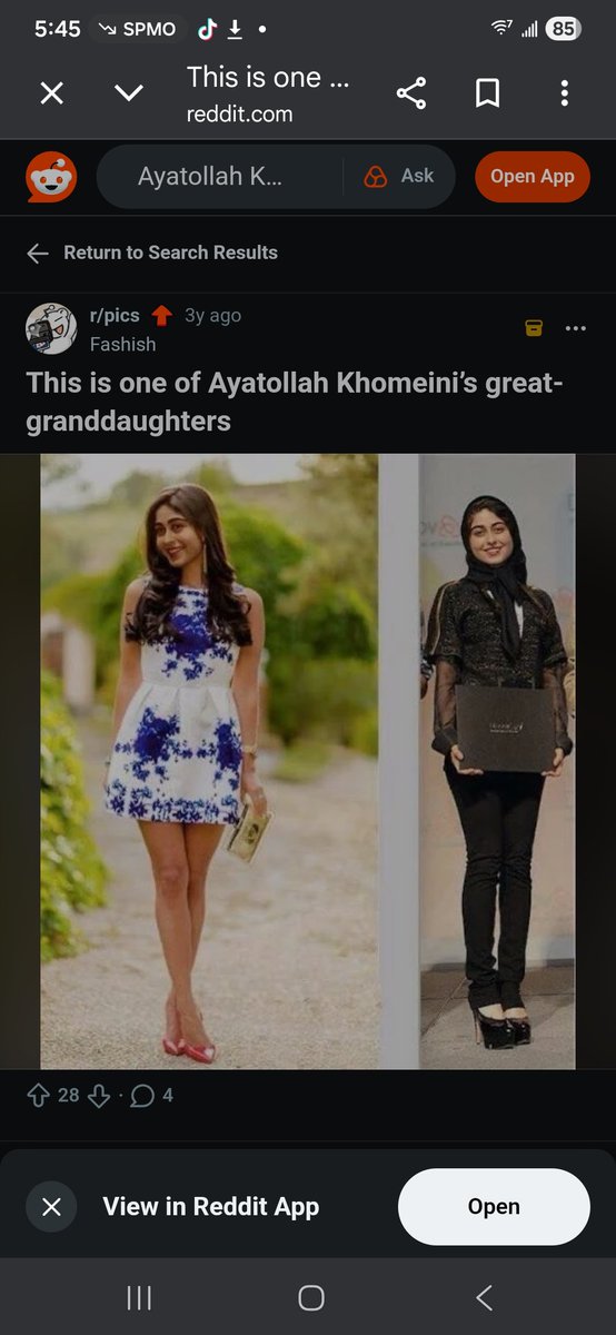 BeeBalmDreamer tweet media