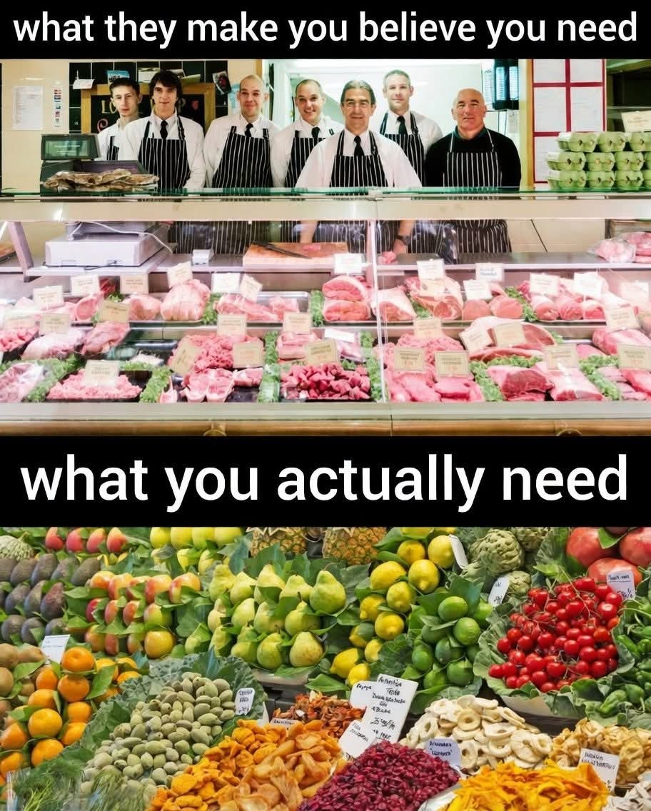 Dervilla(v) tweet media