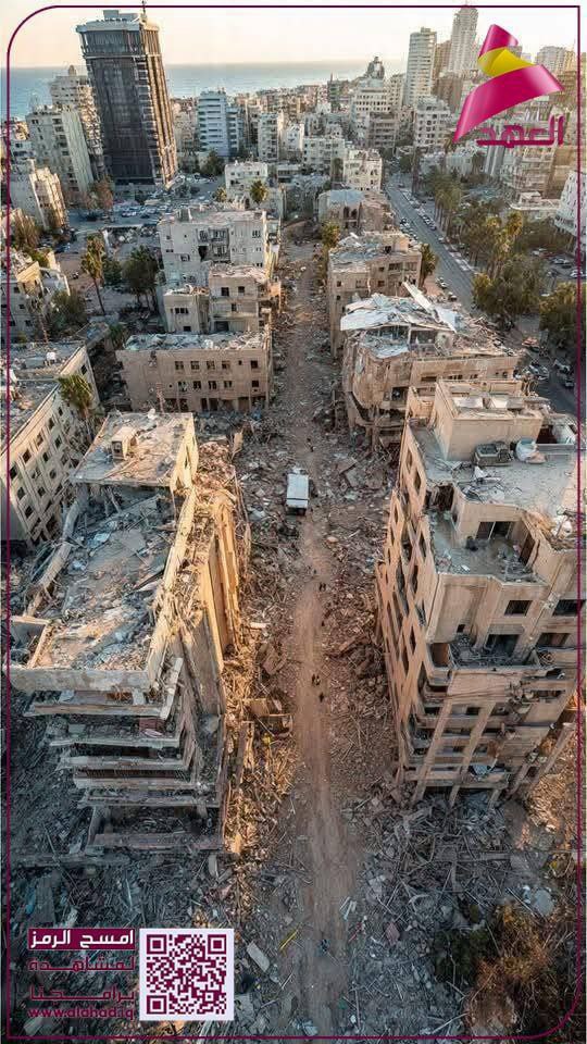 Andrew Stapel tweet media