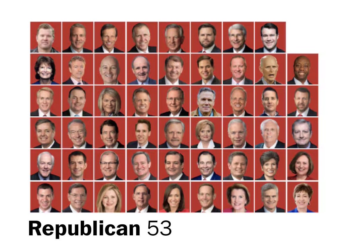 MAGA Voice tweet media