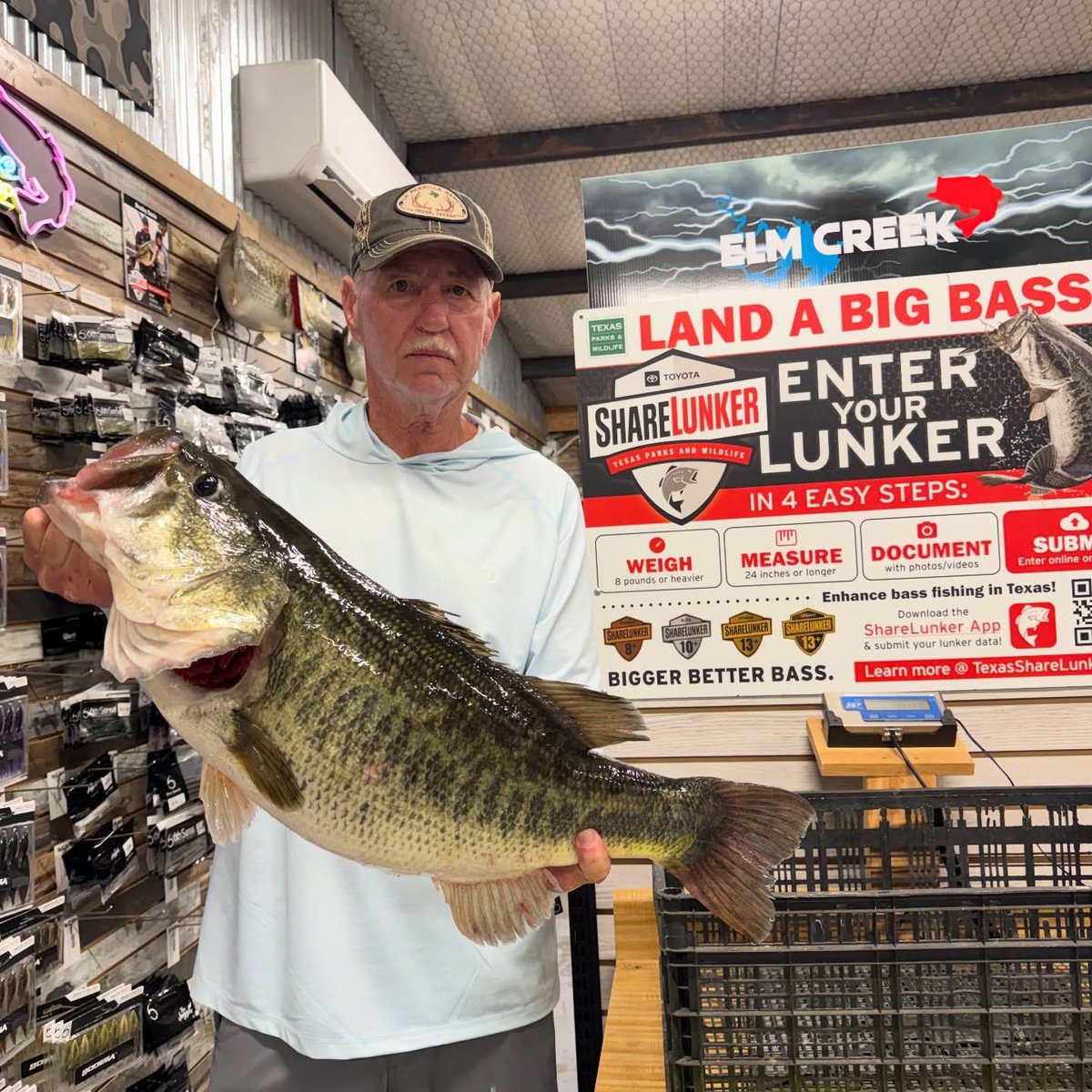 Bass Manager 🎣 tweet media