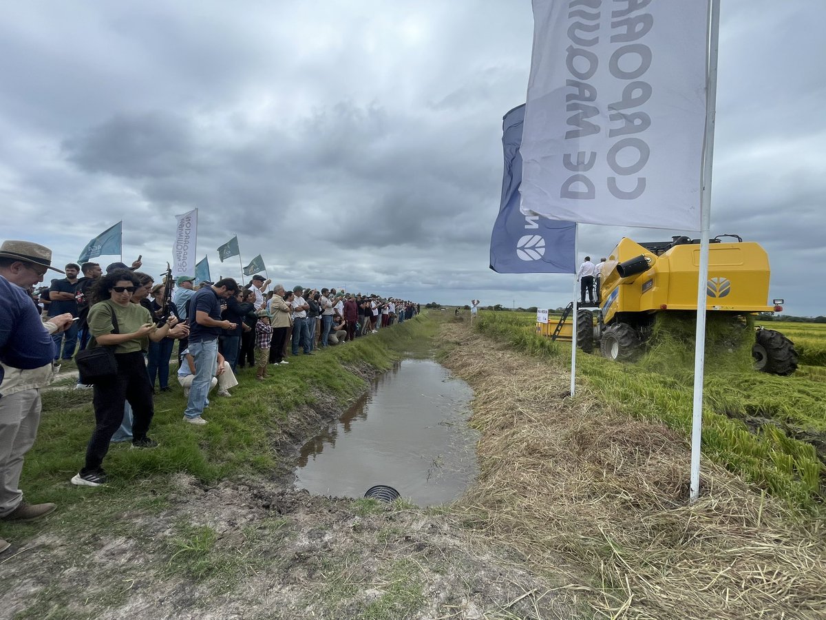 corporacionuy's tweet image. Por 13º año consecutivo #NewHolland inauguró la Cosecha de Arroz. @ACAoficial