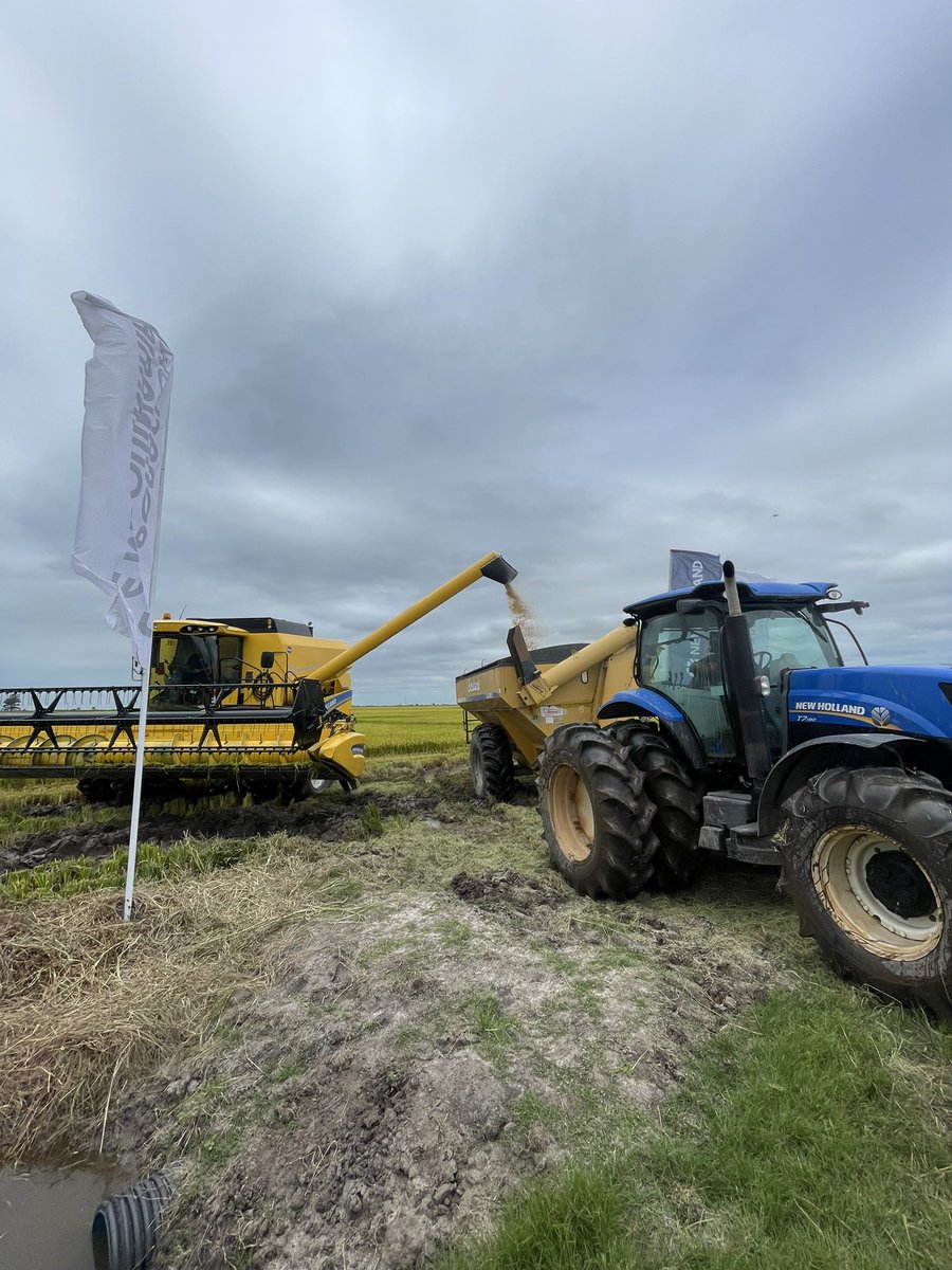 corporacionuy's tweet image. Por 13º año consecutivo #NewHolland inauguró la Cosecha de Arroz. @ACAoficial