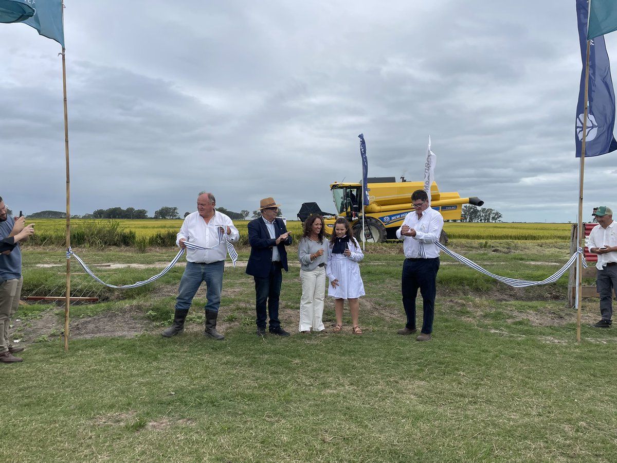 corporacionuy's tweet image. Por 13º año consecutivo #NewHolland inauguró la Cosecha de Arroz. @ACAoficial