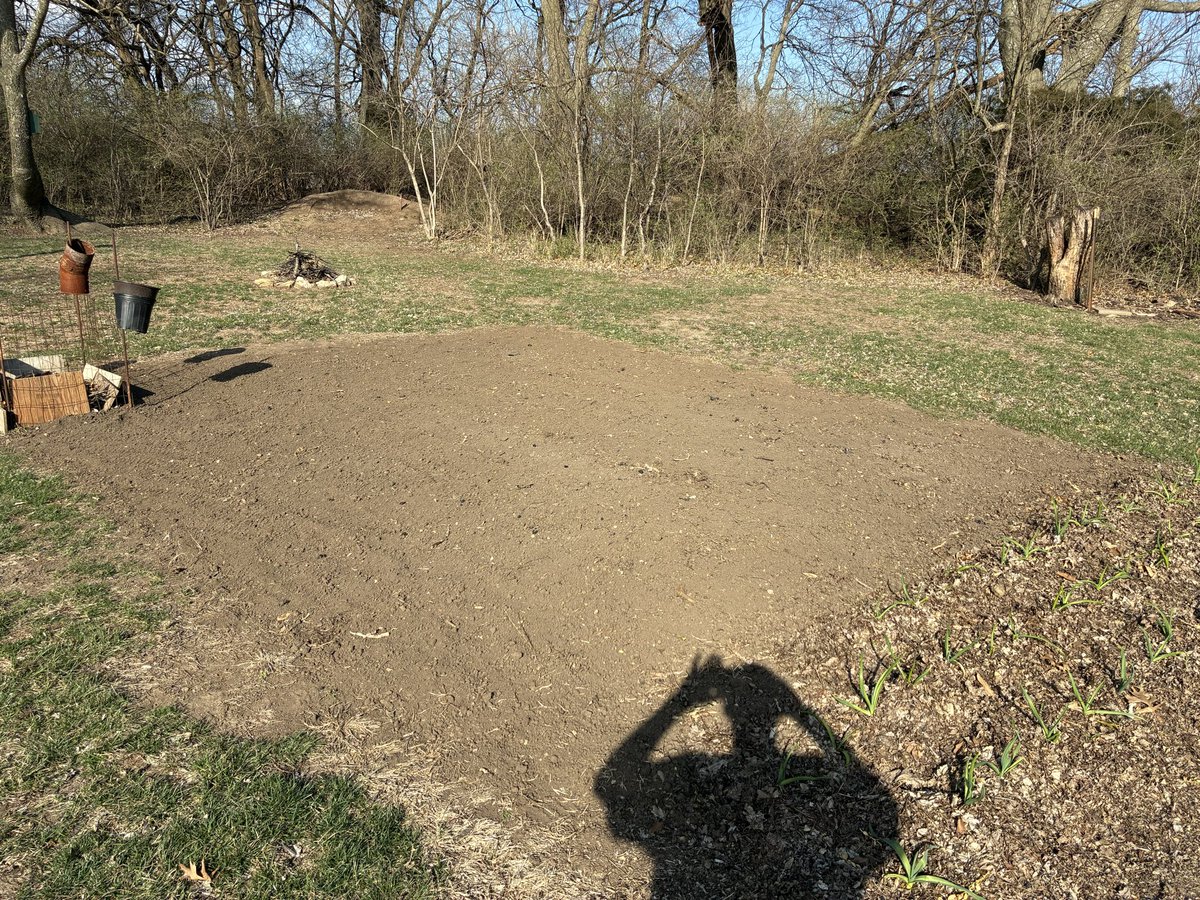 RedbirdBlues56's tweet photo. Finally planted my early 2026 garden, about a week late, but I’ll take it:  2 rows each of lettuce, spinach, onion sets and 3 rows radishes - 56 garlic coming up nicely in the foreground and hard to see, but my hops are starting to poke through the winter mulch https://t.co/0QYwqejJ11