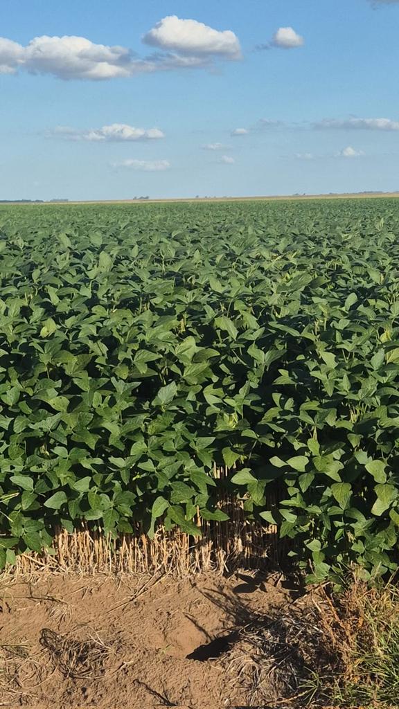 Martín Sánchez tweet media