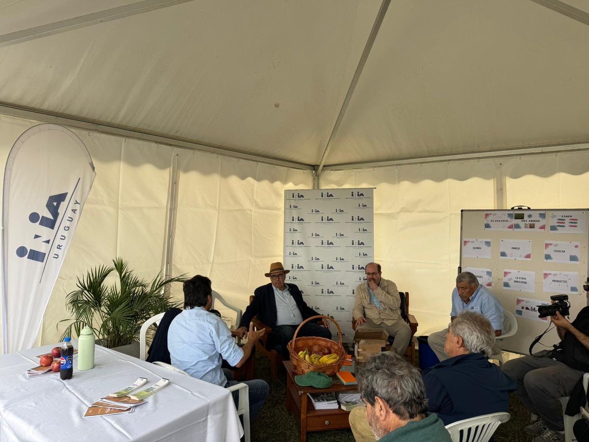 Walter Ayala tweet media