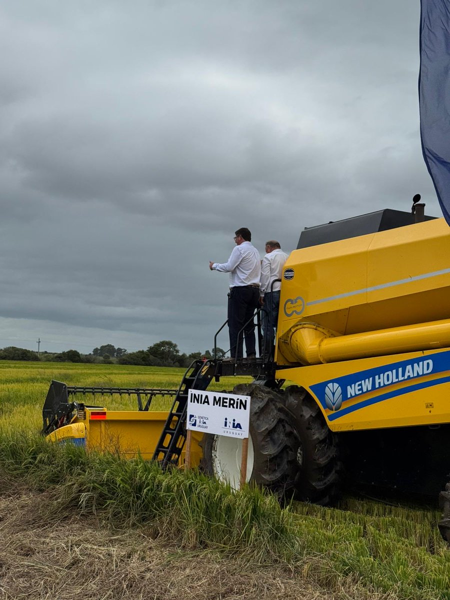 Walter Ayala tweet media