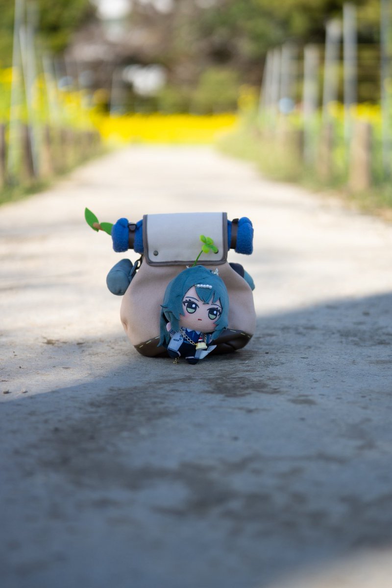 ゆとり猫P tweet media