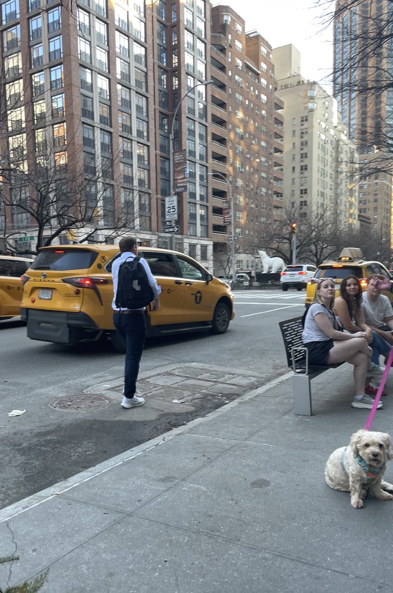 Mac Webster tweet media