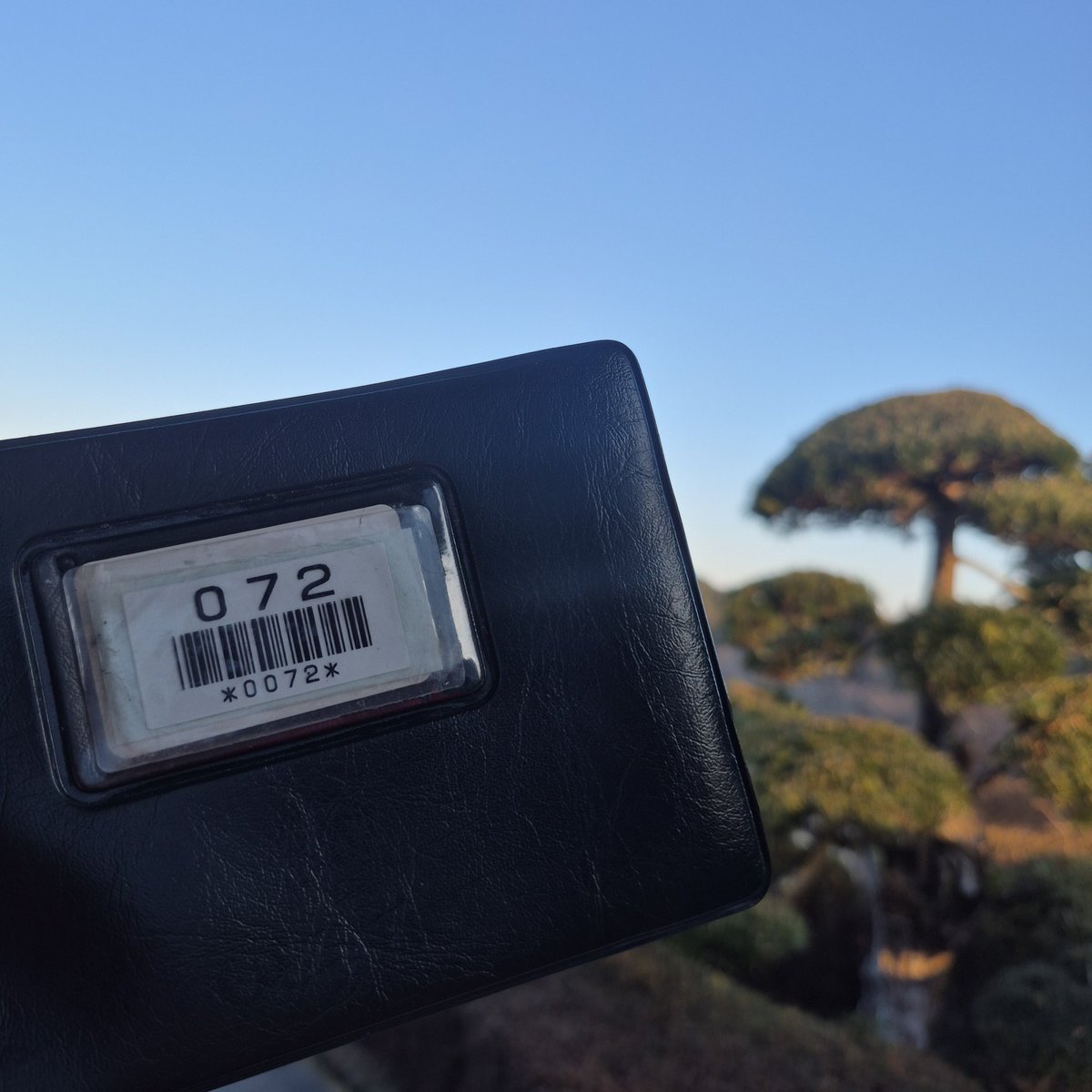 のりくらぶ tweet media