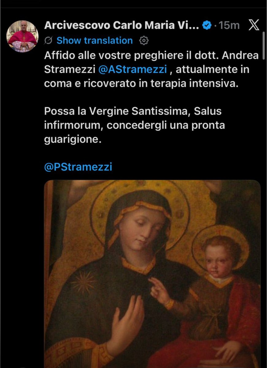 Andrea M. G. G. Stramezzi MD PhD DDS tweet media