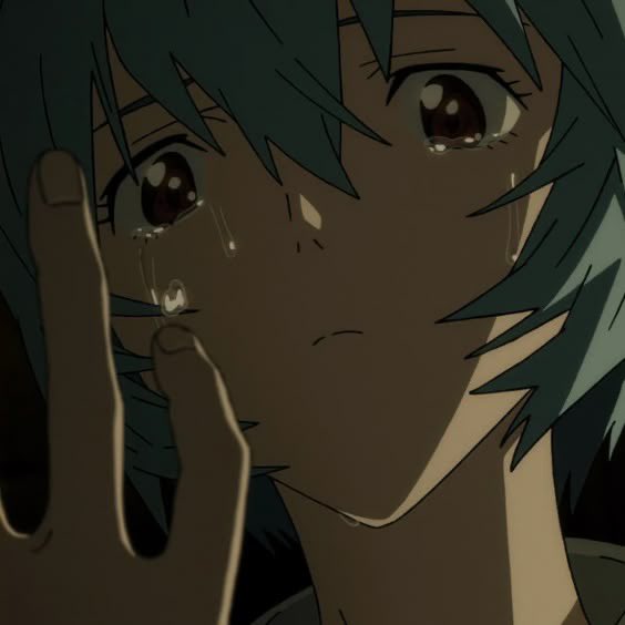 acervo momo🐱 tweet media